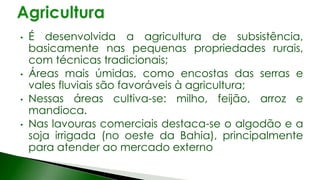 • É desenvolvida a agricultura de subsistência,
basicamente nas pequenas propriedades rurais,
com técnicas tradicionais;
• Áreas mais úmidas, como encostas das serras e
vales fluviais são favoráveis à agricultura;
• Nessas áreas cultiva-se: milho, feijão, arroz e
mandioca.
• Nas lavouras comerciais destaca-se o algodão e a
soja irrigada (no oeste da Bahia), principalmente
para atender ao mercado externo
 