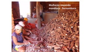 Mulheres raspando
mandioca - Pernambuco
 