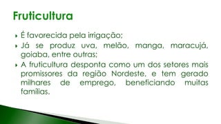  É favorecida pela irrigação;
 Já se produz uva, melão, manga, maracujá,
goiaba, entre outras;
 A fruticultura desponta como um dos setores mais
promissores da região Nordeste, e tem gerado
milhares de emprego, beneficiando muitas
famílias.
 
