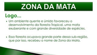  Um ambiente quente e úmido favoreceu o
desenvolvimento da floresta Tropical, uma mata
exuberante e com grande diversidade de espécies.
 Essa floresta ocupava grande parte dessa sub-região,
que por isso, recebeu o nome de Zona da Mata.
 