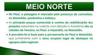  No Piauí, a paisagem é marcada pela presença de carnaúbas,
no Maranhão, predomina o babaçu.
 As principais praças comerciais e centros de redistribuição dos
produtos adquiridos no sudeste com direção a Amazônia são as
cidades de Teresina, no Piauí, e Imperatriz, no Maranhão.
 A pecuária foi a base para o povoamento do Piauí e Maranhão,
que juntamente com o arroz ocupam lugar de destaque na
agropecuária regional.
 