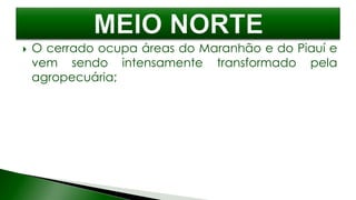  O cerrado ocupa áreas do Maranhão e do Piauí e
vem sendo intensamente transformado pela
agropecuária;
 