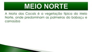A Mata dos Cocais é a vegetação típica do Meio
Norte, onde predominam as palmeiras do babaçu e
carnaúba
 