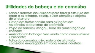 • Folha e troncos: são utilizados para fazer a estrutura das
casas e os telhados, cestas, outros utensílios e objetos
de artesanato;
• Casca dos frutos: carvão para os fogões das
residências e dos fornos de cerâmica;
• Polpa do babaçu: mingau, base da alimentação de
crianças;
• Amêndoa do babaçu: óleo usado como combustível e
lubrificante;
• Folha da carnaúba: cêra natural de alto valor
comercial, empregada em vários ramos industriais.
 