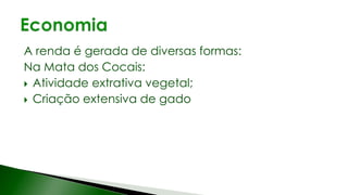 A renda é gerada de diversas formas:
Na Mata dos Cocais:
 Atividade extrativa vegetal;
 Criação extensiva de gado
 