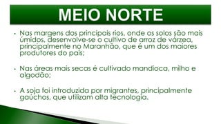 • Nas margens dos principais rios, onde os solos são mais
úmidos, desenvolve-se o cultivo de arroz de várzea,
principalmente no Maranhão, que é um dos maiores
produtores do país;
• Nas áreas mais secas é cultivado mandioca, milho e
algodão;
• A soja foi introduzida por migrantes, principalmente
gaúchos, que utilizam alta tecnologia.
 