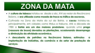  A cultura de tabaco instalou-se desde o séc. XVI ao redor do Recôncavo
Baiano, e era utilizada como moeda de troca no tráfico de escravos.
 Cultivado na Zona da Mata do sul da Bahia, o cacau instalou-se,
principalmente, em cidades como Ilhéus e Itabuna. Até a década de
1980 a Bahia era um dos maiores produtores, quando uma praga
(vassoura de bruxa) devastou as plantações, ocasionando desemprego
e diminuição da atividade econômica.
 A descoberta de petróleo no Recôncavo Baiano, estimulou a
implantação de indústrias, do comércio e do setor de prestação de
serviços.
 
