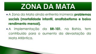  A Zona da Mata ainda enfrenta inúmeros problemas
sociais (mortalidade infantil, analfabetismo e baixo
rendimento mensal).
 A implementação da BR-101, na Bahia, tem
contribuído para o aumento da devastação da
Mata Atlântica.
 