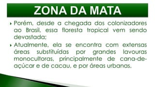  Porém, desde a chegada dos colonizadores
ao Brasil, essa floresta tropical vem sendo
devastada;
 Atualmente, ela se encontra com extensas
áreas substituídas por grandes lavouras
monocultoras, principalmente de cana-de-
açúcar e de cacau, e por áreas urbanas.
 