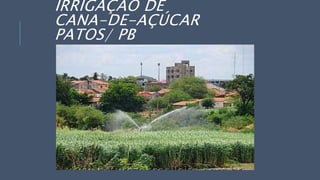 IRRIGAÇÃO DE
CANA-DE-AÇÚCAR
PATOS/ PB
 