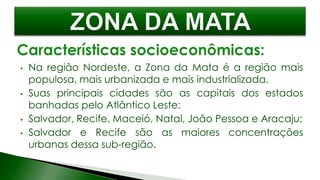 • Na região Nordeste, a Zona da Mata é a região mais
populosa, mais urbanizada e mais industrializada.
• Suas principais cidades são as capitais dos estados
banhadas pelo Atlântico Leste:
• Salvador, Recife, Maceió, Natal, João Pessoa e Aracaju;
• Salvador e Recife são as maiores concentrações
urbanas dessa sub-região.
 