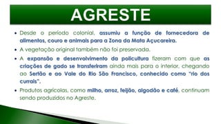  Desde o período colonial, assumiu a função de fornecedora de
alimentos, couro e animais para a Zona da Mata Açucareira.
 A vegetação original também não foi preservada.
 A expansão e desenvolvimento da policultura fizeram com que as
criações de gado se transferiram ainda mais para o interior, chegando
ao Sertão e ao Vale do Rio São Francisco, conhecido como “rio dos
currais”.
 Produtos agrícolas, como milho, arroz, feijão, algodão e café, continuam
sendo produzidos no Agreste.
 