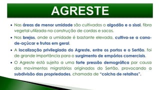  Nas áreas de menor umidade são cultivados o algodão e o sisal, fibra
vegetal utilizada na construção de cordas e sacos.
 Nos brejos, onde a umidade é bastante elevada, cultiva-se a cana-
de-açúcar e frutas em geral.
 A localização privilegiada do Agreste, entre os portos e o Sertão, foi
de grande importância para o surgimento de empórios comerciais.
 O Agreste está sujeito a uma forte pressão demográfica por causa
dos movimentos migratórios originados do Sertão, provocando a
subdivisão das propriedades, chamada de “colcha de retalhos”.
 
