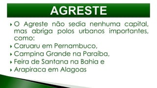  O Agreste não sedia nenhuma capital,
mas abriga polos urbanos importantes,
como:
 Caruaru em Pernambuco,
 Campina Grande na Paraíba,
 Feira de Santana na Bahia e
 Arapiraca em Alagoas
 