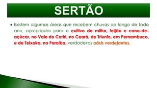  Existem algumas áreas que recebem chuvas ao longo de todo
ano, apropriadas para o cultivo de milho, feijão e cana-de-
açúcar, no Vale do Cariri, no Ceará, de Triunfo, em Pernambuco,
e de Teixeira, na Paraíba, verdadeiros oásis verdejantes.
 