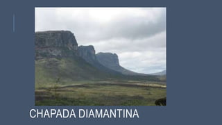 CHAPADA DIAMANTINA
 