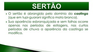  O sertão é abrangido pelo domínio da caatinga
(que em tupi-guarani significa mata branca).
 Sua aparência esbranquiçada e sem folhas ocorre
apenas nos períodos de estiagens, nos curtos
períodos de chuva a aparência da caatinga se
modifica.
 