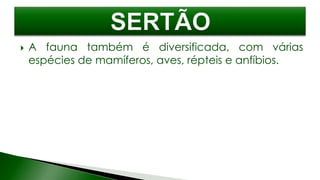  A fauna também é diversificada, com várias
espécies de mamíferos, aves, répteis e anfíbios.
 