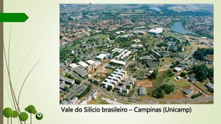 Vale do Silício brasileiro – Campinas (Unicamp)
 