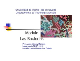 Universidad de Puerto Rico en Utuado
Departamento de Tecnología Agrícola
Modulo
Las Bacterias
Prof. Juan Irizarry Morales
Laboratorio TECP 1016
Introducción al Control de Plagas
 