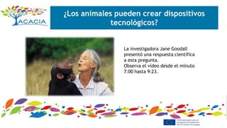 ¿Los animales pueden crear dispositivos
tecnológicos?
La investigadora Jane Goodall
presentó una respuesta científica
a esta pregunta.
Observa el vídeo desde el minuto
7:00 hasta 9:23.
 