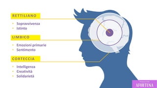 RETTILIANO
• Sopravvivenza
• Istinto
LIMBICO
• Emozioni primarie
• Sentimento
CORTECCIA
• Intelligenza
• Creatività
• Solidarietà
 