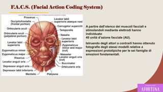 A partire dall’elenco dei muscoli facciali e
stimolandoli mediante elettrodi hanno
individuato
40 unità d’azione facciale (AU).
Istruendo degli attori a contrarli hanno ottenuto
fotografie degli stessi modelli relative a
espressioni prototipiche per le sei famiglie di
emozioni fondamentali.
F.A.C.S. (Facial Action Coding System)
76
 