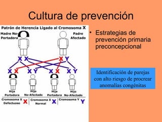 Cultura de prevención 
• Estrategias de 
prevención primaria 
preconcepcional 
Identificación de parejas 
con alto riesgo de procrear 
anomalías congénitas 
 
