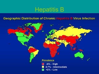 Hepatitis B 
 