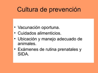Cultura de prevención 
• Vacunación oportuna. 
• Cuidados alimenticios. 
• Ubicación y manejo adecuado de 
animales. 
• Exámenes de rutina prenatales y 
SIDA. 
 