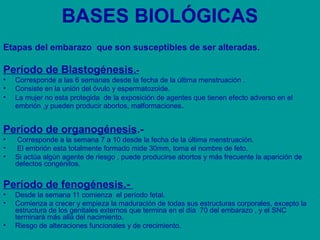 BASES BIOLÓGICAS 
Etapas del embarazo que son susceptibles de ser alteradas. 
Período de Blastogénesis.- 
• Corresponde a las 6 semanas desde la fecha de la última menstruación . 
• Consiste en la unión del óvulo y espermatozoide. 
• La mujer no esta protegida de la exposición de agentes que tienen efecto adverso en el 
embrión ,y pueden producir abortos, malformaciones. 
Período de organogénesis.- 
• Corresponde a la semana 7 a 10 desde la fecha de la última menstruación. 
• El embrión esta totalmente formado mide 30mm, toma el nombre de feto. 
• Si actúa algún agente de riesgo , puede producirse abortos y más frecuente la aparición de 
defectos congénitos. 
Período de fenogénesis.- 
• Desde la semana 11 comienza el período fetal. 
• Comienza a crecer y empieza la maduración de todas sus estructuras corporales, excepto la 
estructura de los genitales externos que termina en el día 70 del embarazo , y el SNC 
terminará más allá del nacimiento. 
• Riesgo de alteraciones funcionales y de crecimiento. 
 