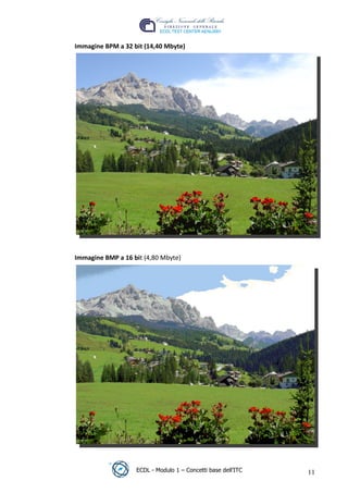 Immagine BPM a 32 bit (14,40 Mbyte)




                                                               t
                                                           r.i
                                                 cn
                                 @
                              ro
                       ie

 Immagine BMP a 16 bit (4,80 Mbyte)
                lb
         .a
   r to
be
ro




                    ECDL - Modulo 1 – Concetti base dell’ITC     11
 