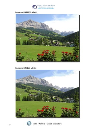 Immagine PNG (6,91 Mbyte)




                                                                      t
                                                                     r.i
                                                          cn
                                          @
                                       ro
                                 ie

     Immagine GIF (1,22 Mbyte)
                         lb
                  .a
        r  to
     be
ro




                          ECDL - Modulo 1 – Concetti base dell’ITC
12
 