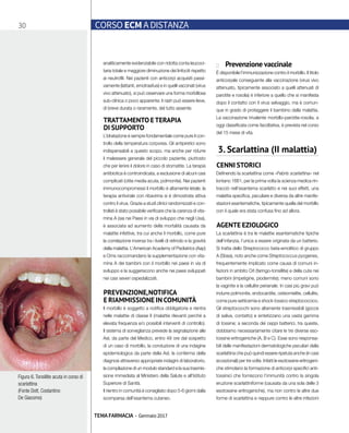 30 CORSO ECM A DISTANZA
TEMA FARMACIA - Gennaio 2017
■■ Prevenzione vaccinale
È disponibile l’immunizzazione contro il morbillo. Il titolo
anticorpale conseguente alla vaccinazione (virus vivo
attenuato, tipicamente associato a quelli attenuati di
parotite e rosolia) è inferiore a quello che si manifesta
dopo il contatto con il virus selvaggio, ma è comun-
que in grado di proteggere il bambino dalla malattia.
La vaccinazione trivalente morbillo-parotite-rosolia, a
oggi classificata come facoltativa, è prevista nel corso
del 15 mese di vita.
3. Scarlattina (II malattia)
CENNI STORICI
Definendo la scarlattina come «Febris scarlattina» nel
lontano 1661, per la prima volta la scienza medica rin-
tracciò nell’esantema scarlatto e nei suoi effetti, una
malattia specifica, peculiare e diversa da altre manife-
stazioni esantematiche, tipicamente quella del morbillo
con il quale era stata confusa fino ad allora.
AGENTE EZIOLOGICO
La scarlattina è tra le malattie esantematiche tipiche
dell’infanzia, l’unica a essere originata da un batterio.
Si tratta dello Streptococco beta-emolitico di gruppo
A (Sbea), noto anche come Streptococcus pyogenes,
frequentemente implicato come causa di comuni in-
fezioni in ambito Orl (faringo-tonsillite) e della cute nei
bambini (impetigine, piodermite); meno comuni sono
la vaginite e la cellulite perianale. In casi più gravi può
indurre polmonite, endocardite, osteomielite, cellulite,
come pure setticemia e shock tossico streptococcico.
Gli streptococchi sono altamente trasmissibili (gocce
di saliva, contatto) e sintetizzano una vasta gamma
di tossine; a seconda dei ceppi batterici, tra queste,
dobbiamo necessariamente citare le tre diverse eso-
tossine eritrogeniche (A, B e C). Esse sono responsa-
bili delle manifestazioni dermatologiche peculiari della
scarlattina che può quindi essere ripetuta anche (in casi
eccezionali) per tre volte. Infatti le esotossine eritrogeni-
che stimolano la formazione di anticorpi specifici anti-
tossinici che forniscono l’immunità contro la singola
eruzione scarlattiniforme (causata da una sola delle 3
esotossine eritrogeniche), ma non contro le altre due
forme di scarlattina e neppure contro le altre infezioni
analiticamente evidenziabile con ridotta conta leucoci-
taria totale e maggiore diminuzione dei linfociti rispetto
ai neutrofili. Nei pazienti con anticorpi acquisiti passi-
vamente (lattanti, emotrasfusi) e in quelli vaccinati (virus
vivo attenuato), si può osservare una forma morbillosa
sub-clinica o poco apparente; il rash può essere lieve,
di breve durata o raramente, del tutto assente.
TRATTAMENTO ETERAPIA
DI SUPPORTO
L’idratazione è sempre fondamentale come pure il con-
trollo della temperatura corporea. Gli antipiretici sono
indispensabili a questo scopo, ma anche per ridurre
il malessere generale del piccolo paziente, piuttosto
che per lenire il dolore in caso di stomatite. La terapia
antibiotica è controindicata, a esclusione di alcuni casi
complicati (otite media acuta, polmonite). Nei pazienti
immunocompromessi il morbillo è altamente letale; la
terapia antivirale con ribavirina si è dimostrata attiva
contro il virus. Grazie a studi clinici randomizzati e con-
trollati è stato possibile verificare che la carenza di vita-
mina A (sia nei Paesi in via di sviluppo che negli Usa),
è associata ad aumento della mortalità causata da
malattie infettive, tra cui anche il morbillo, come pure
la correlazione inversa tra i livelli di retinolo e la gravità
della malattia. L’American Academy of Pediatrics (Aap)
e Oms raccomandano la supplementazione con vita-
mina A dei bambini con il morbillo nei paesi in via di
sviluppo e la suggeriscono anche nei paesi sviluppati
nei casi severi ospedalizzati.
PREVENZIONE,NOTIFICA
E RIAMMISSIONE IN COMUNITÀ
Il morbillo è soggetto a notifica obbligatoria e rientra
nelle malattie di classe II (malattie rilevanti perché a
elevata frequenza e/o possibili interventi di controllo).
Il sistema di sorveglianza prevede la segnalazione alle
Asl, da parte del Medico, entro 48 ore dal sospetto
di un caso di morbillo, la conduzione di una indagine
epidemiologica da parte della Asl, la conferma della
diagnosi attraverso appropriate indagini di laboratorio,
la compilazione di un modulo standard e la sua trasmis-
sione immediata al Ministero della Salute e all’Istituto
Superiore di Sanità.
Il rientro in comunità è consigliato dopo 5-6 giorni dalla
scomparsa dell’esantema cutaneo.
Figura 6.Tonsillite acuta in corso di
scarlattina
(Fonte Dott. Costantino
De Giacomo)
 