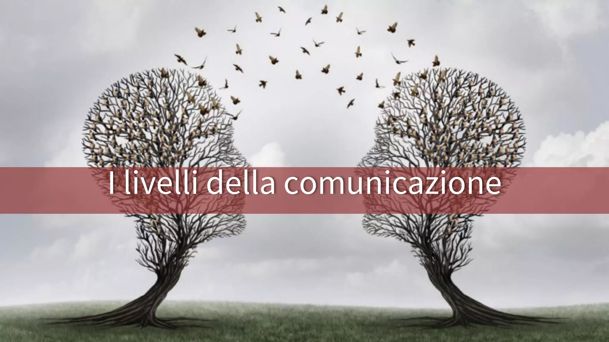 I livelli della comunicazione
 
