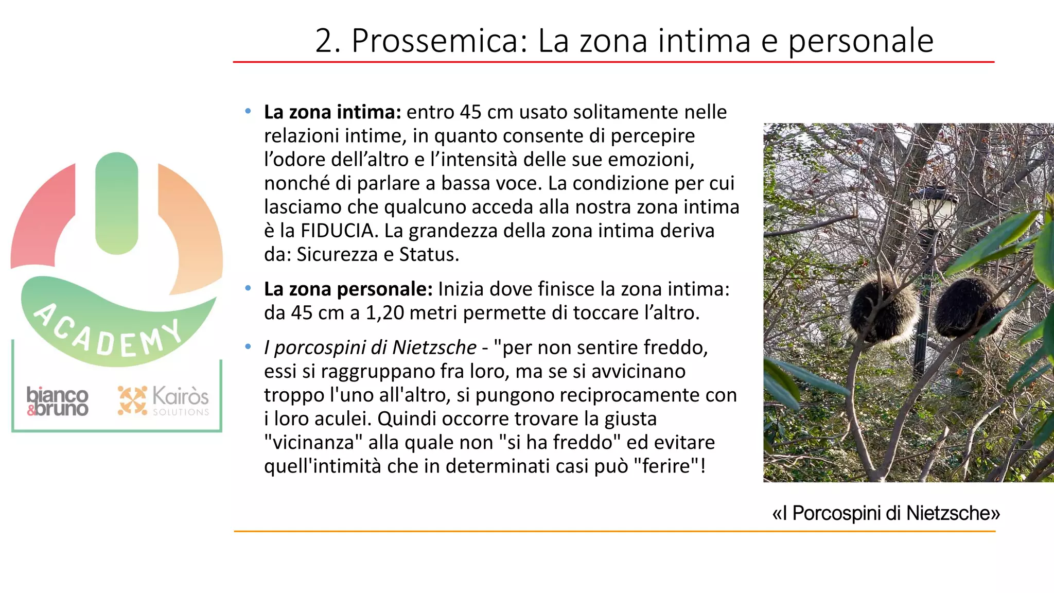 57
2. Prossemica: La zona intima e personale
• La zona intima: entro 45 cm usato solitamente nelle
relazioni intime, in quanto consente di percepire
l’odore dell’altro e l’intensità delle sue emozioni,
nonché di parlare a bassa voce. La condizione per cui
lasciamo che qualcuno acceda alla nostra zona intima
è la FIDUCIA. La grandezza della zona intima deriva
da: Sicurezza e Status.
• La zona personale: Inizia dove finisce la zona intima:
da 45 cm a 1,20 metri permette di toccare l’altro.
• I porcospini di Nietzsche - "per non sentire freddo,
essi si raggruppano fra loro, ma se si avvicinano
troppo l'uno all'altro, si pungono reciprocamente con
i loro aculei. Quindi occorre trovare la giusta
"vicinanza" alla quale non "si ha freddo" ed evitare
quell'intimità che in determinati casi può "ferire"!
«I Porcospini di Nietzsche»
 