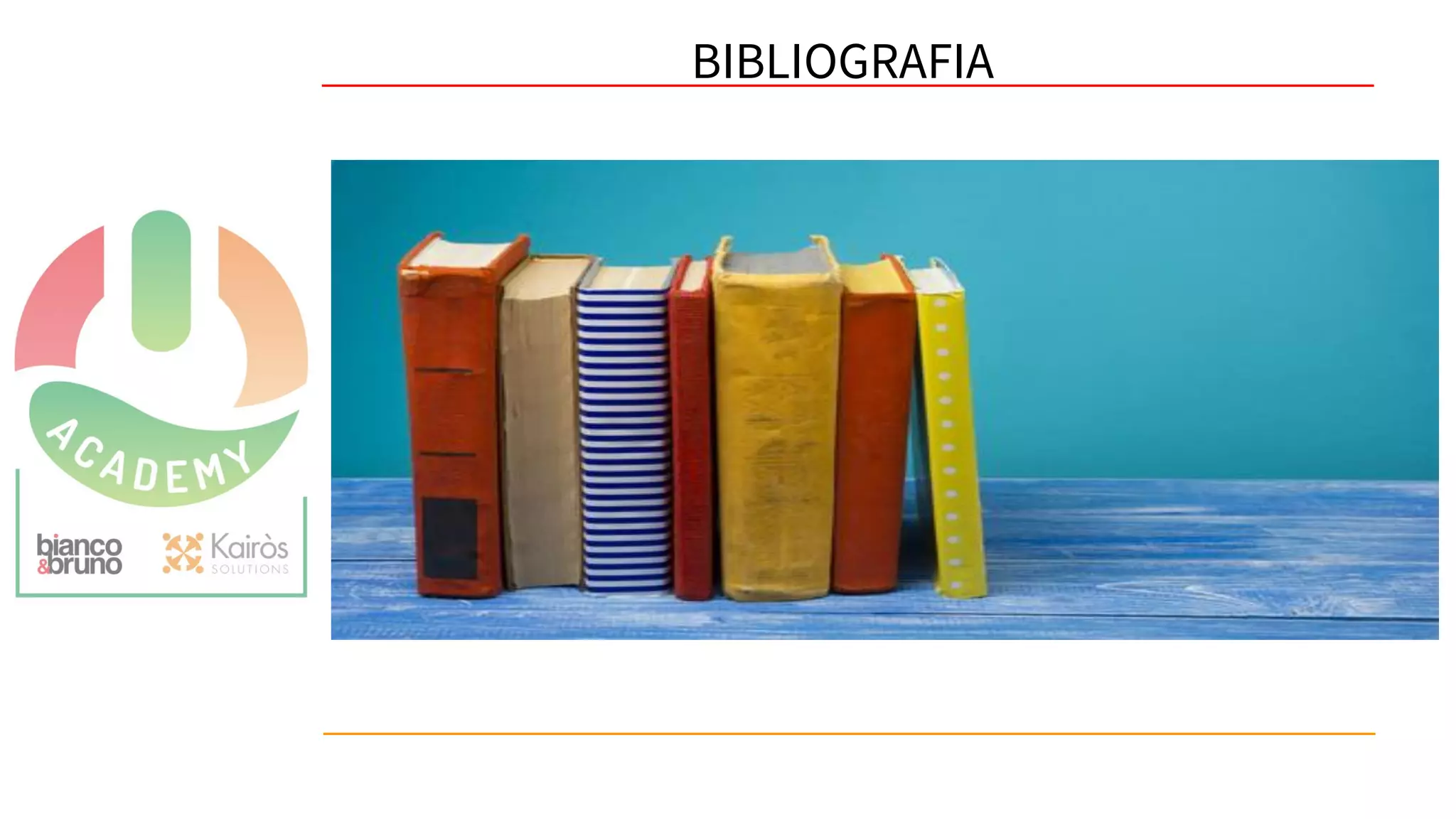 61
BIBLIOGRAFIA
 