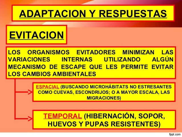 CLASE HOMEOSTASIS Y RESPUESTAS DE ADAPTACION