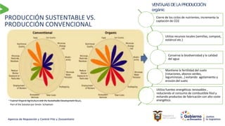PRODUCCIÓN SUSTENTABLE VS.
PRODUCCIÓN CONVENCIONAL
VENTAJASDELA PRODUCCIÓN
orgánic
Cierre de los ciclos de nutrientes, incrementa la
captación de CO2
Utiliza recursos locales (semillas, compost,
estiércol etc.)
Conserva la biodiversidad y la calidad
del agua
Mantiene la fertilidad del suelo
(rotaciones, abonos verdes,
leguminosas…) evitando agotamiento y
erosión del suelo
Utiliza fuentes energéticas renovables ,
reduciendo el consumo de combustible fósil y
evitando productos de fabricación con alto coste
energético.
Fuente: Organic Agriculture and the Susteinable Development Goals,
Part of the Solution por Simón Schaetzen
 
