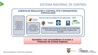 SISTEMA NACIONAL DE CONTROL
 