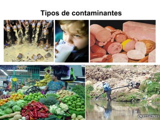 Tipos de contaminantes
 