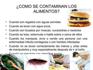 ¿COMO SE CONTAMINAN LOS
             ALIMENTOS?

• Cuando son regados con aguas servidas
• Cuando se lavan con agua sucia
• Cuando son tocados por moscas, cucarachas o roedores
• Cuando se tose, estornuda o habla sobre o cerca de ellos
• Cuando los manipula, sirve o vende una persona con una
  enfermedad infecto-contagiosa o con heridas infectadas
• Cuando no se lavan correctamente las manos y uñas antes
  de manipularlos y muy especialmente después de ir al baño
• Cuando se preparan con utensilios sucios.
 