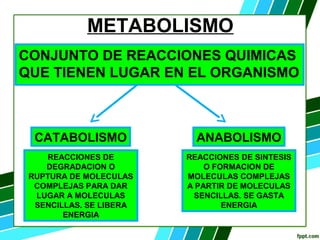 METABOLISMO
CONJUNTO DE REACCIONES QUIMICAS
QUE TIENEN LUGAR EN EL ORGANISMO
CATABOLISMO ANABOLISMO
REACCIONES DE
DEGRADACION O
RUPTURA DE MOLECULAS
COMPLEJAS PARA DAR
LUGAR A MOLECULAS
SENCILLAS. SE LIBERA
ENERGIA
REACCIONES DE SINTESIS
O FORMACION DE
MOLECULAS COMPLEJAS
A PARTIR DE MOLECULAS
SENCILLAS. SE GASTA
ENERGIA
 