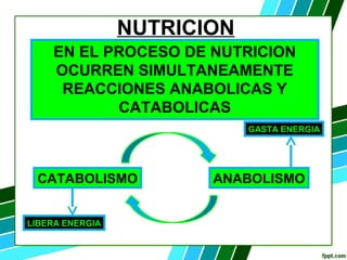 NUTRICION
EN EL PROCESO DE NUTRICION
OCURREN SIMULTANEAMENTE
REACCIONES ANABOLICAS Y
CATABOLICAS
CATABOLISMO ANABOLISMO
LIBERA ENERGIA
GASTA ENERGIA
 