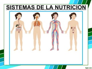 SISTEMAS DE LA NUTRICION
 