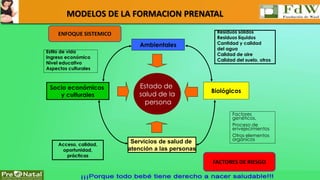 MODELOS DE LA FORMACION PRENATAL 
Ambientales 
Estado de 
salud de la 
persona 
Servicios de salud de 
atención a las personas 
Socio económicos 
y culturales 
Acceso, calidad, 
oportunidad, 
prácticas 
Residuos sólidos 
Residuos líquidos 
Cantidad y calidad 
del agua 
Calidad de aire 
Calidad del suelo, otros 
Biológicos 
Estilo de vida 
Ingreso económico 
Nivel educativo 
Aspectos culturales 
Factores 
genéticos, 
Proceso de 
envejecimientos 
Otros elementos 
orgánicos 
ENFOQUE SISTEMICO 
FACTORES DE RIESGO 
 