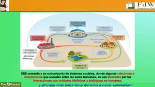 SSE presenta a un subconjunto de sistemas sociales, donde algunas relaciones e 
interacciones que suceden entre los seres humanos, se ven afectadas por las 
interacciones con unidades biofísicas y biológicas no humanas. 
 