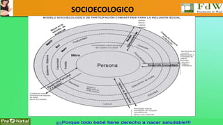 SOCIOECOLOGICO 
 