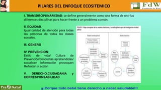 PILARES DEL ENFOQUE ECOSITEMICO 
I. TRANSDISCIPLINARIEDAD: se define generalmente como una forma de unir las 
diferentes disciplinas para hacer frente a un problema común. 
II. EQUIDAD. 
Igual calidad de atención para todas 
las personas de todas las clases 
sociales. 
III. GENERO 
IV. PREVENCION: 
Estilo de vida/ Cultura de 
Prevención/conductas aprehendidas/ 
socialicen Información provoquen 
Reflexión y acción 
V. DERECHO.CIUDADANIA y 
CORRESPONSABILIDAD 
 