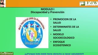 MODULO I 
Discapacidad y Prevención 
• PROMOCION DE LA 
SALUD 
• DETERMINATES DE LA 
SALUD 
• MODELO 
SOCIOECOLOGICO 
• ENFOQUE 
ECOSISTEMICO 
 